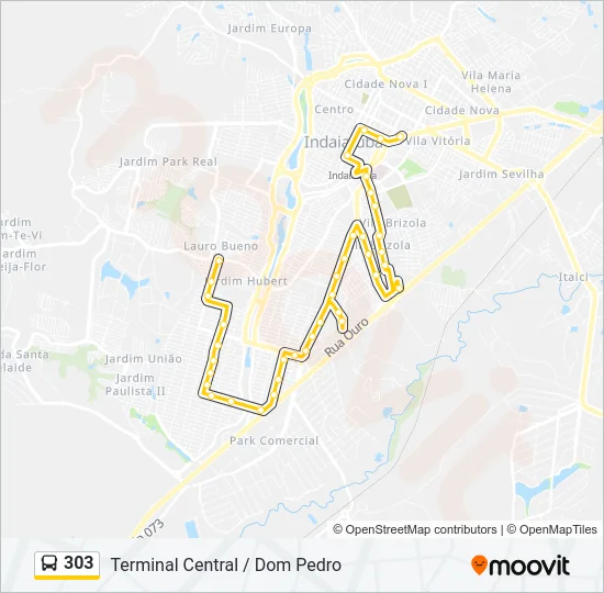 303 Bus Line Map