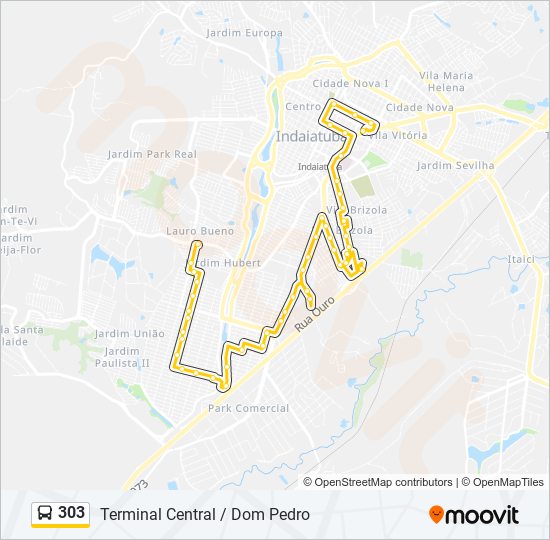 Mapa de 303 de autobús