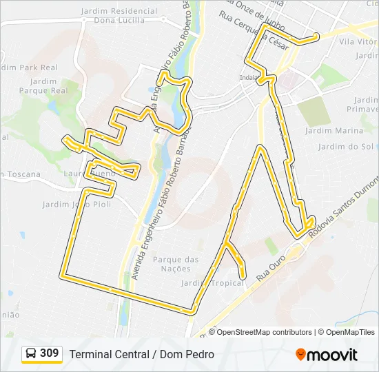 309 Bus Line Map