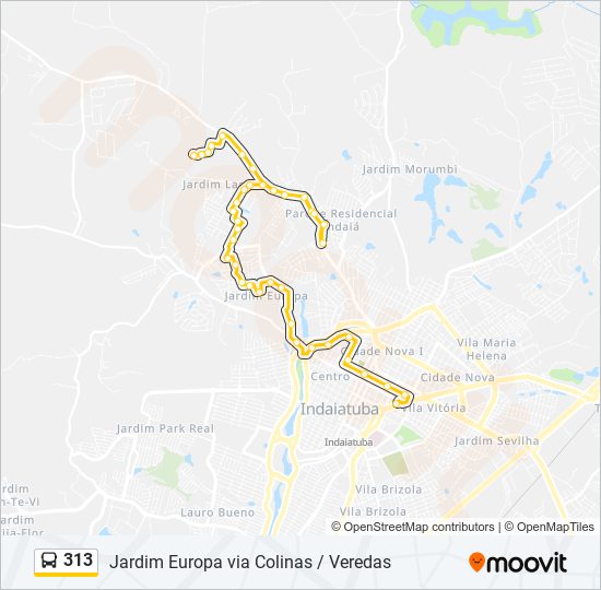 313 bus Line Map