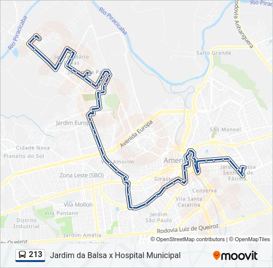 213 Bus Line Map