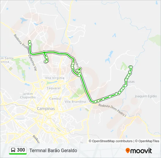 300 Bus Line Map
