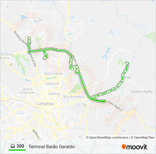 300 Bus Line Map