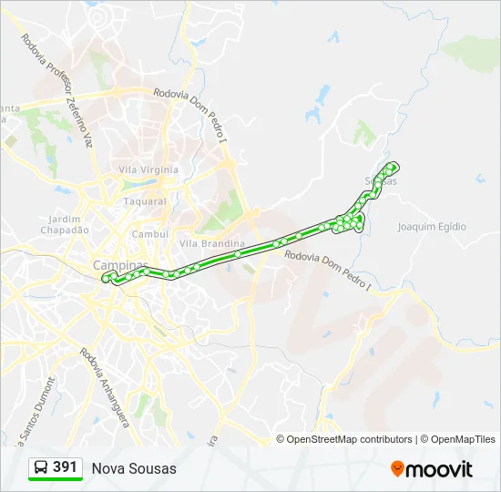 391 Bus Line Map