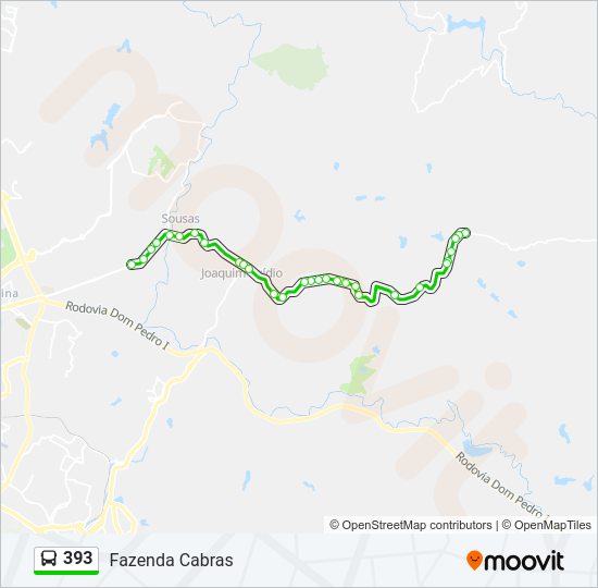Mapa da linha 393 de ônibus