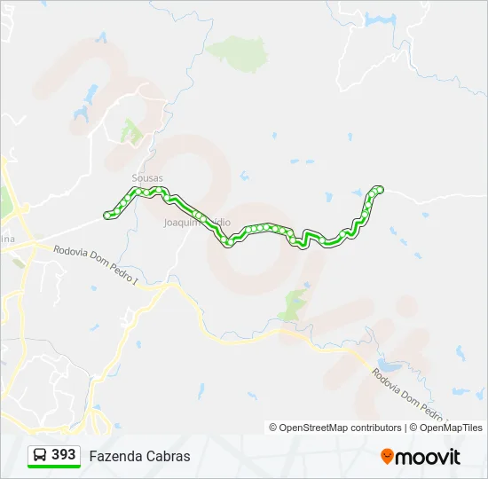 393 Bus Line Map