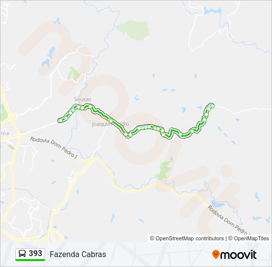Mapa da linha 393 de ônibus