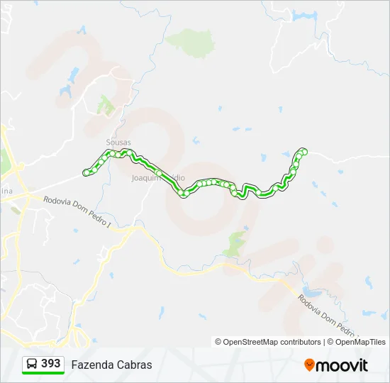 393 Bus Line Map