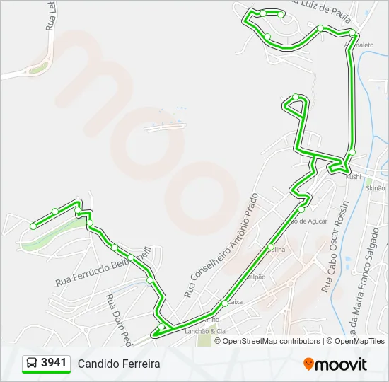 3941 Bus Line Map