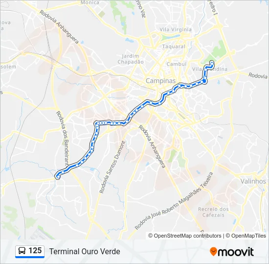 125 Bus Line Map