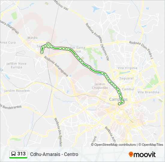 313 Bus Line Map