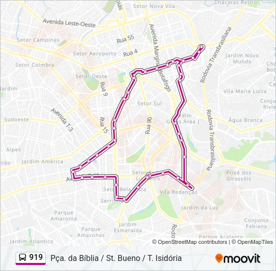 919 Bus Line Map