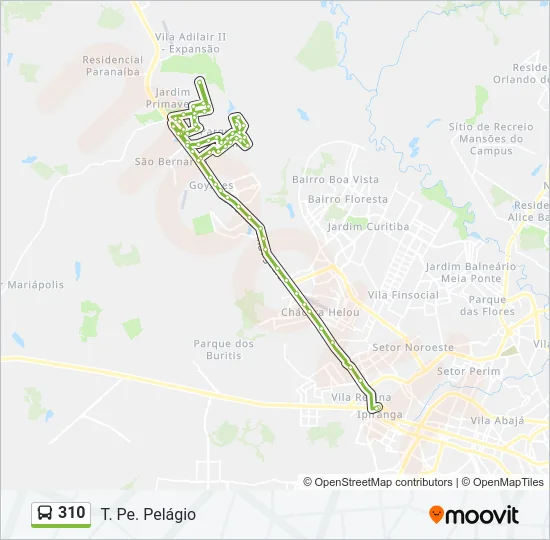 310 Bus Line Map