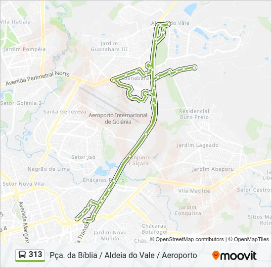 313 Bus Line Map