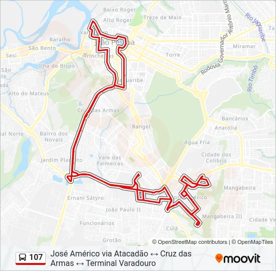 107 Bus Line Map