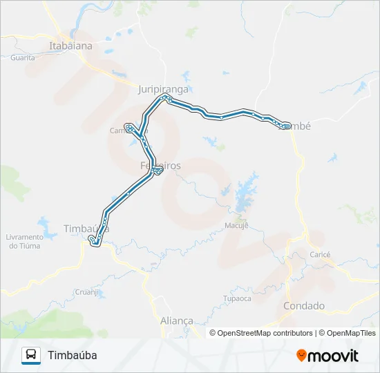 021 TIMBAÚBA - ITAMBÉ Bus Line Map