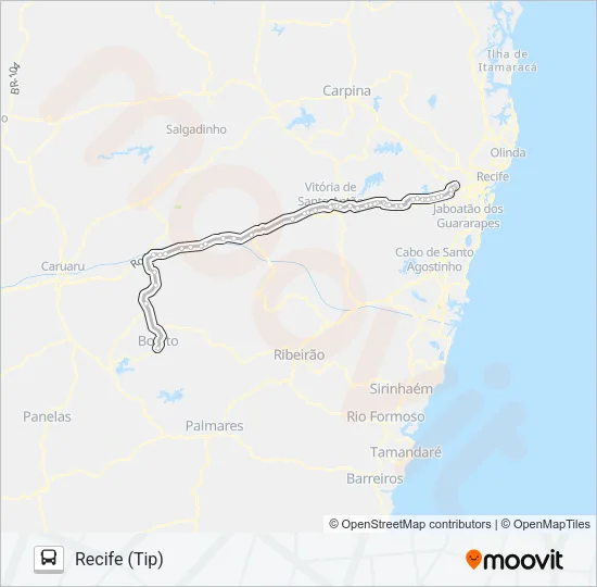 803 BONITO - RECIFE Bus Line Map