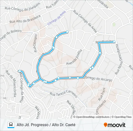 Mapa de C102 ALTO JD. PROGRESSO / ALTO DR. CAETÉ de autobús