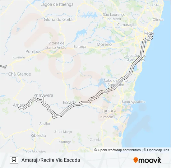 1313 AMARAJI - RECIFE Bus Line Map