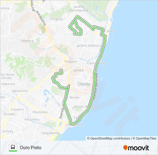 Mapa da linha 886 OURO PRETO / RIO DOCE de ônibus