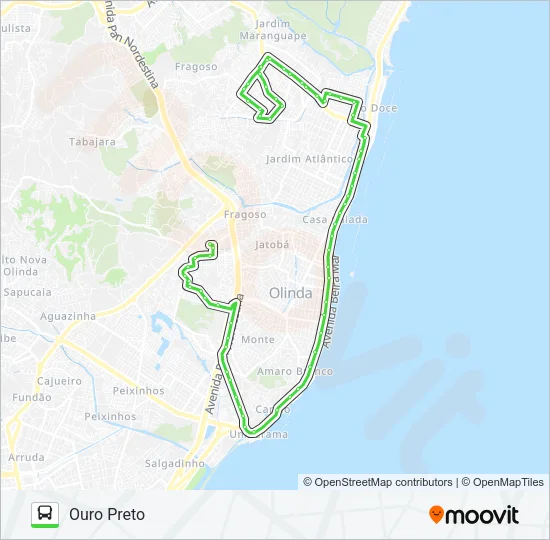 886 OURO PRETO / RIO DOCE Bus Line Map