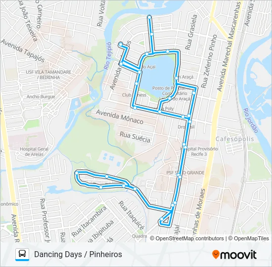 C303 DANCING DAYS / PINHEIROS Bus Line Map