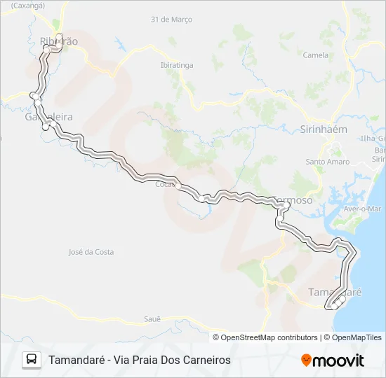 1307 RIBEIRÃO - TAMANDARÉ Bus Line Map