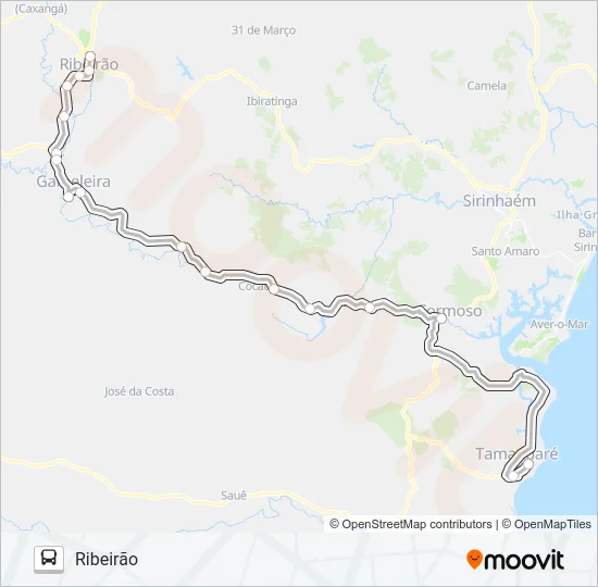 1307 RIBEIRÃO - TAMANDARÉ Bus Line Map