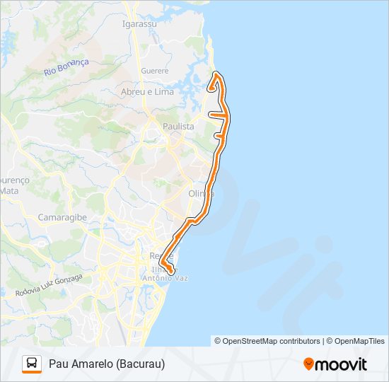 1995 PAU AMARELO (BACURAU) bus Line Map