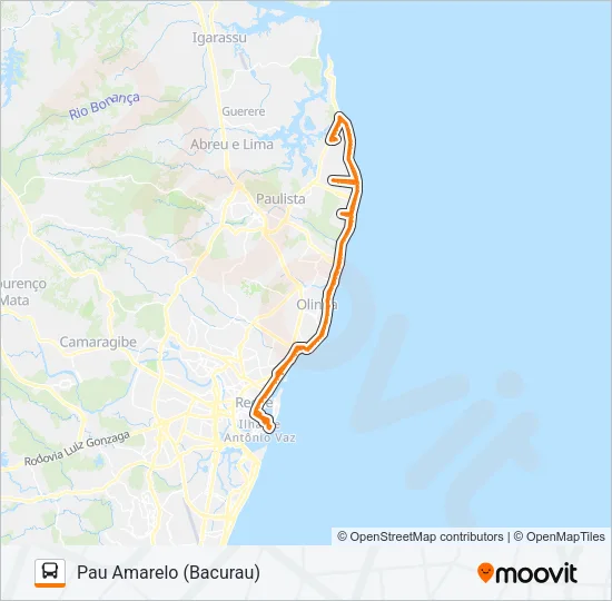 1995 PAU AMARELO (BACURAU) Bus Line Map
