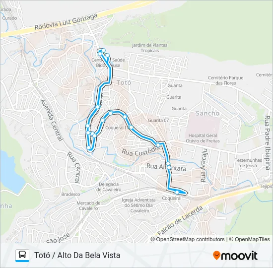 C203 TOTÓ / ALTO DA BELA VISTA Bus Line Map