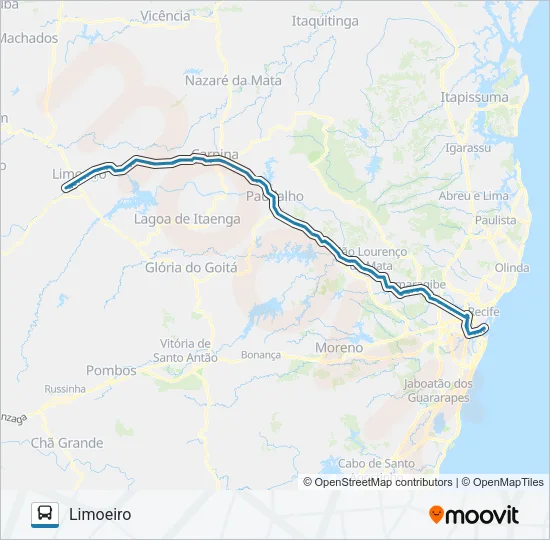 025 RECIFE - LIMOEIRO Bus Line Map