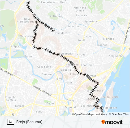 626 BREJO (BACURAU) Bus Line Map