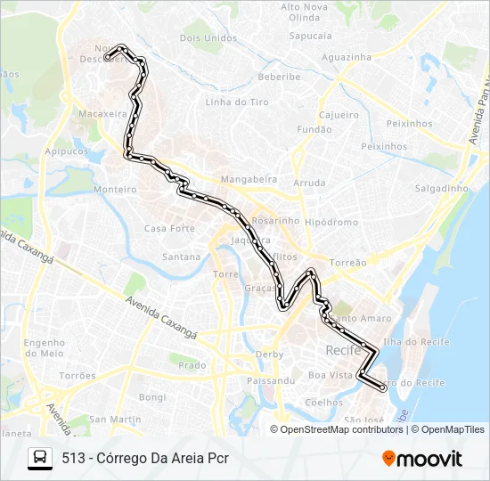 513 CÓRREGO DA AREIA Bus Line Map