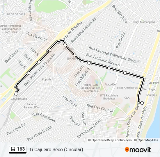 163 Bus Line Map