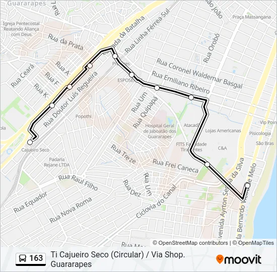 163 Bus Line Map