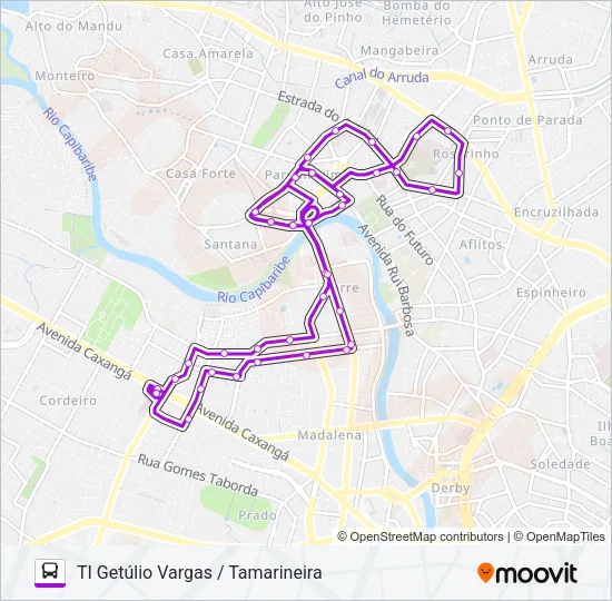 2434 TI GETÚLIO VARGAS / TAMARINEIRA Bus Line Map