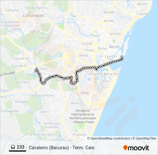 233 Bus Line Map