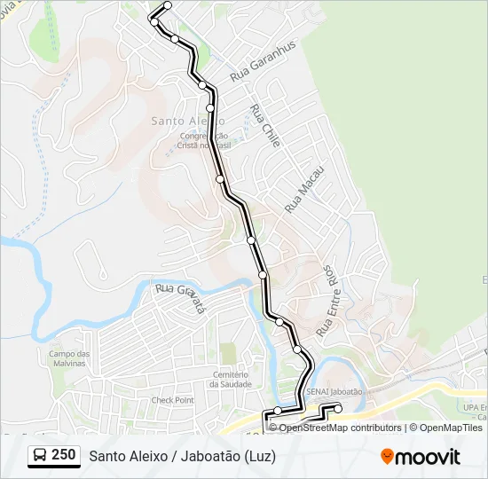 250 Bus Line Map