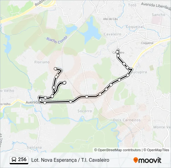 256 Bus Line Map