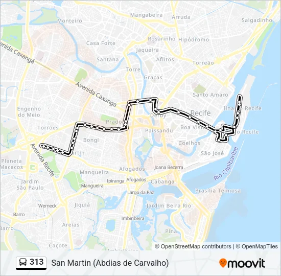 313 Bus Line Map