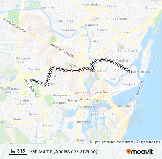 313 Bus Line Map