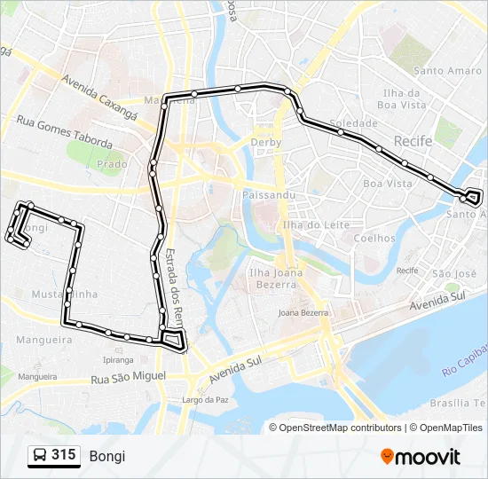 315 Bus Line Map