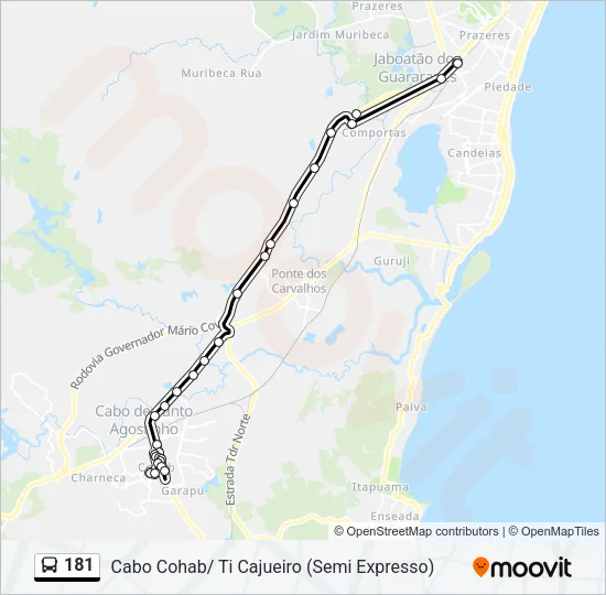 181 Bus Line Map
