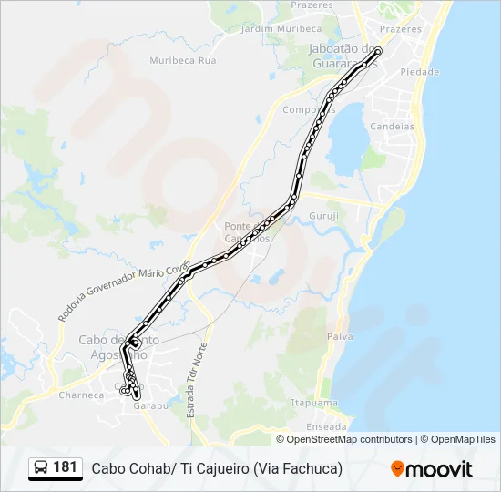 181 Bus Line Map