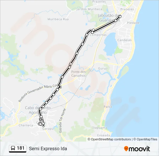 181 Bus Line Map