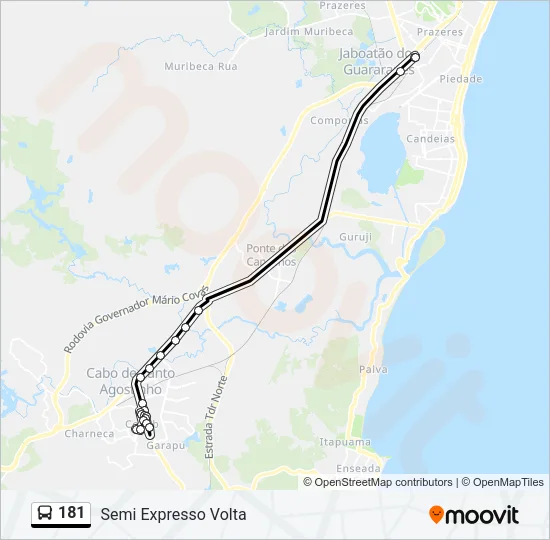 181 Bus Line Map