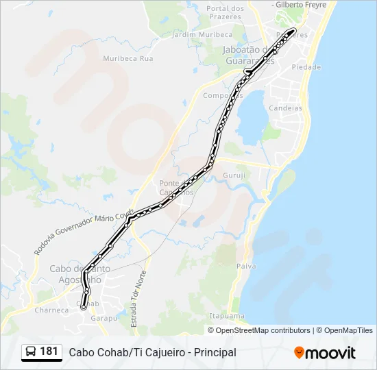 181 Bus Line Map