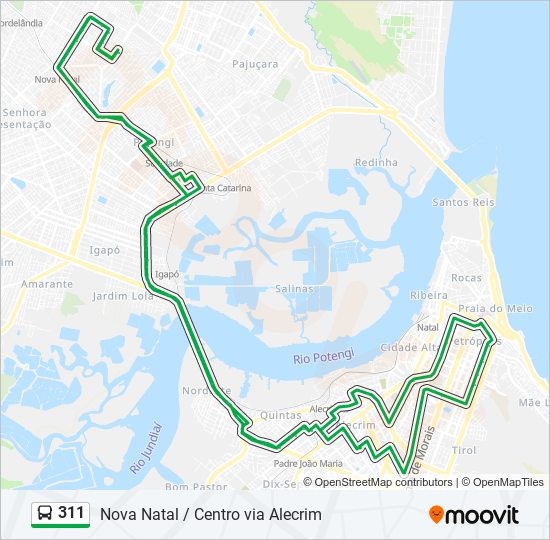 311 bus Line Map