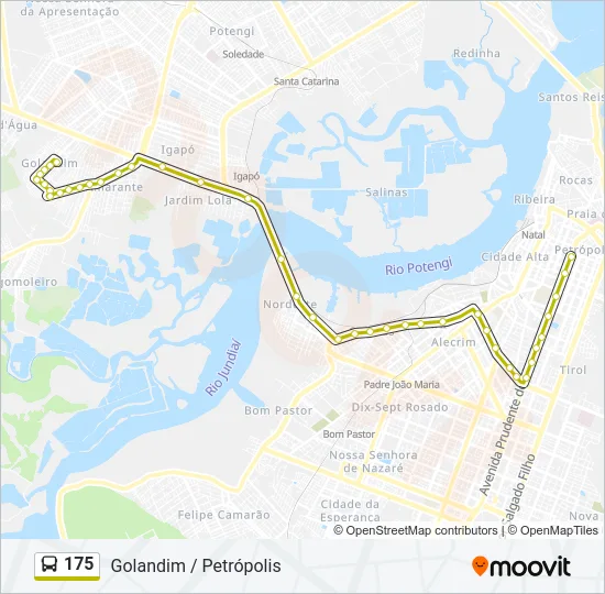 175 Bus Line Map